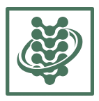 Asad Physical Therapy